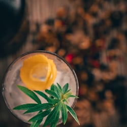 Perfekter Longdrink | Produktfotografie