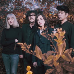Ladytron