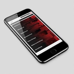 Website Druckpunkt