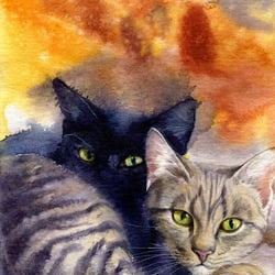 zwei Kätzchen – Aquarell