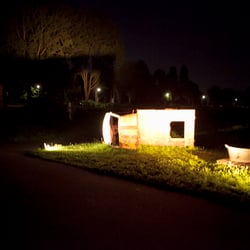 IMG 8469