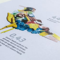 Diplomarbeit „Plastikwahn“