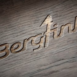 Logo bergfink