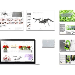 Corporate Design Entwicklung und Umsetzung für die Marke STAHLGLANZ