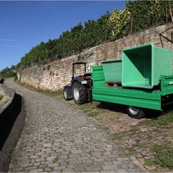 Neckarhaldenweg Weinlese