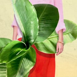Collagen – freie Arbeiten