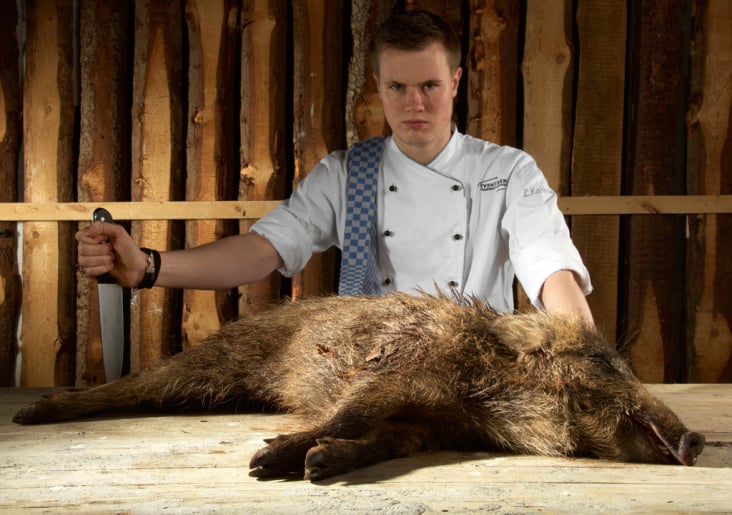 Schwein 1