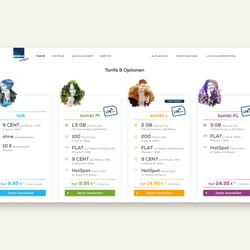 Webdesign Tarifauswahl