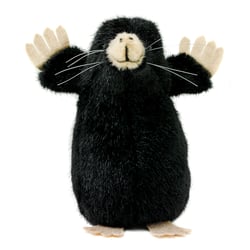 Hands up