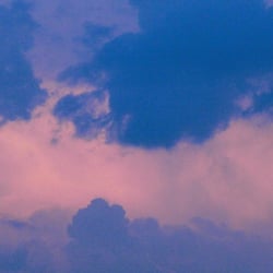 Natur 2012