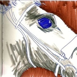 bernd frank – illustrationen