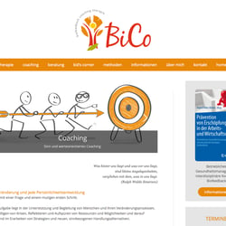 institut BiCo. joomla 3.5 websites