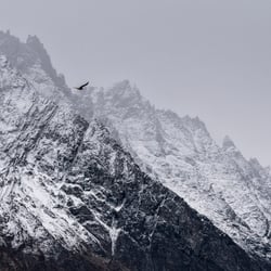Greenland