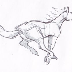 Pferdestudie nach Preston Blair