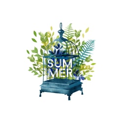 Hello Summer vector  card design
