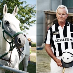 POLO_15