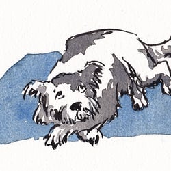Hund mit schlechtem Gewissen