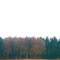 090102 708seeibm