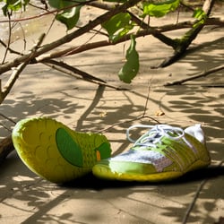 Für Joe Nimble von Bär Schuhe