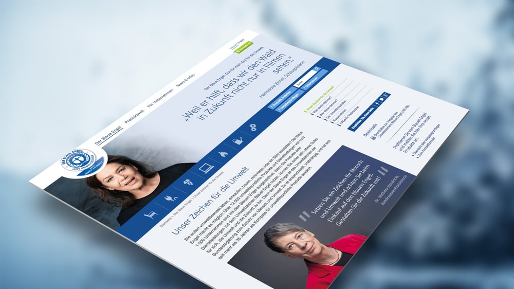 Gestaltung und Konzeption des Web-Auftritts
