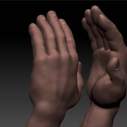 hands