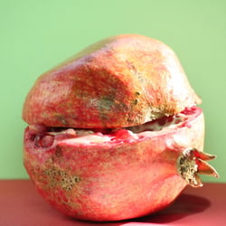 Granatapfel November 2012