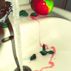 feel-fresh
