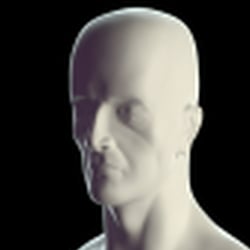 Anatomiestudie in ZBrush