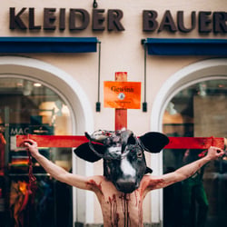 animal rights protest – salzburg