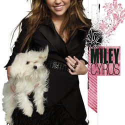 SHMILEY DS POSTER HUND