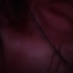Heartbeat