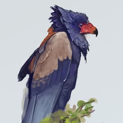 eagle-1