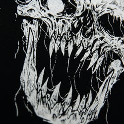 Close Up Skull – Patch