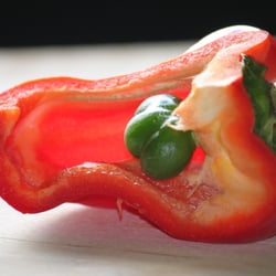 Paprika 08