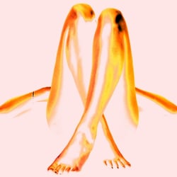Frauenbeine