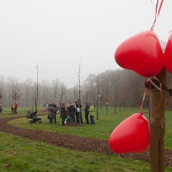 Bepflanzung des „Liebesbaums“