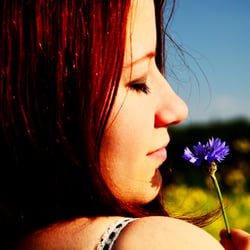 Blume