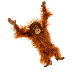 Affe