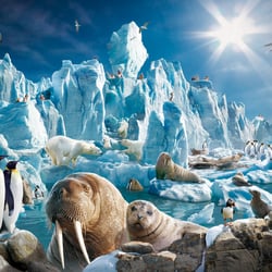 EISMEER HAGENBECK 1500