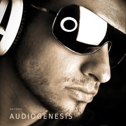 Audiogenesis
