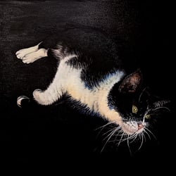 „Coolcat“, Auftragswerk, Öl auf Leinwand, 70×70cm, 2022