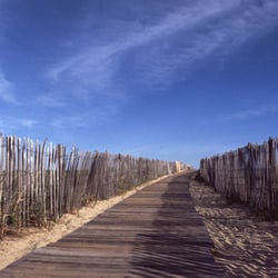 Scusset Beach