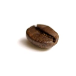 Kaffee-Bohne