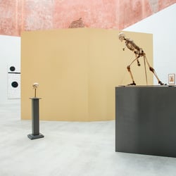 Ausstellungsansicht – fotografiert für HfBK Dresden