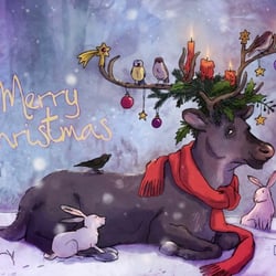 Weihnachtskarte 2013