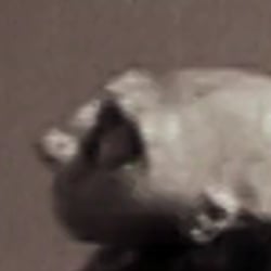 Puppet Animation