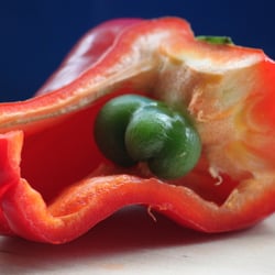 Food Fotografie 2012 Paprika in Farbe No 13