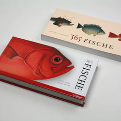 365 FISCHE