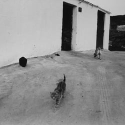 dasauge portfolio9