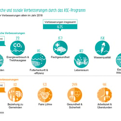 Infografiken zum Thema Umwelt